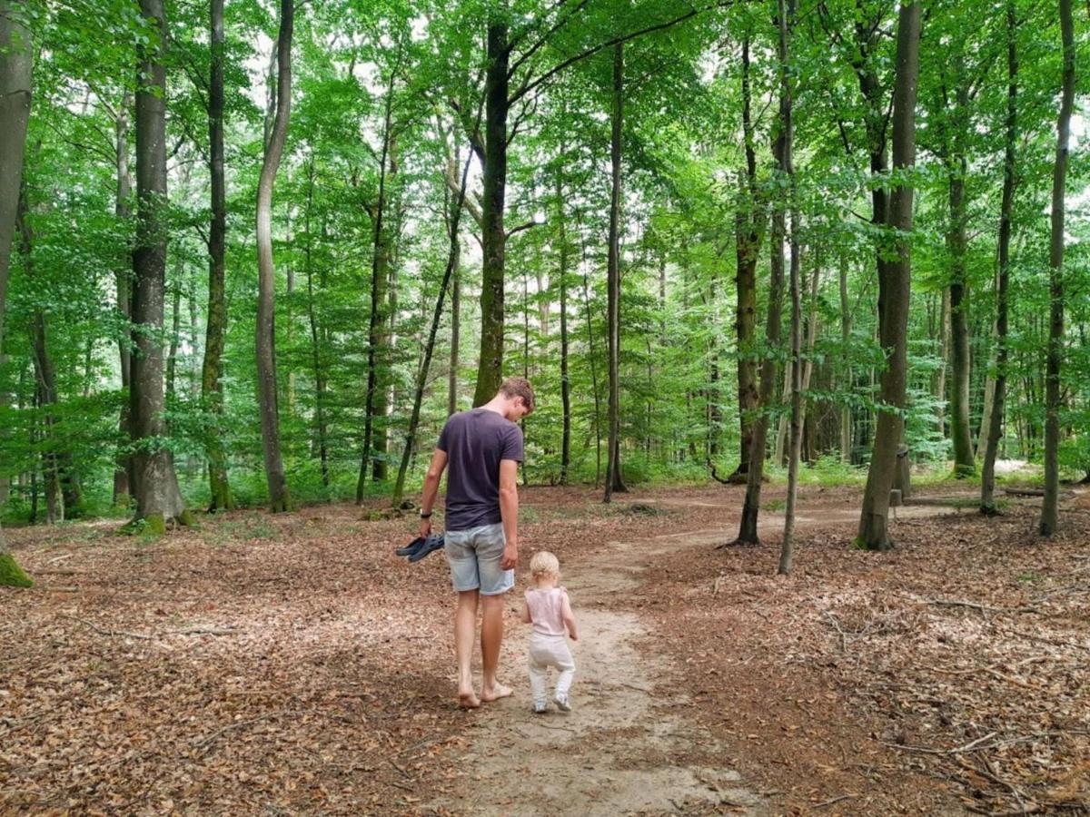 Nice Tent Lodge On A Campsite, Bordering The Forest, Luxembourg At 27 Km Medernach ภายนอก รูปภาพ