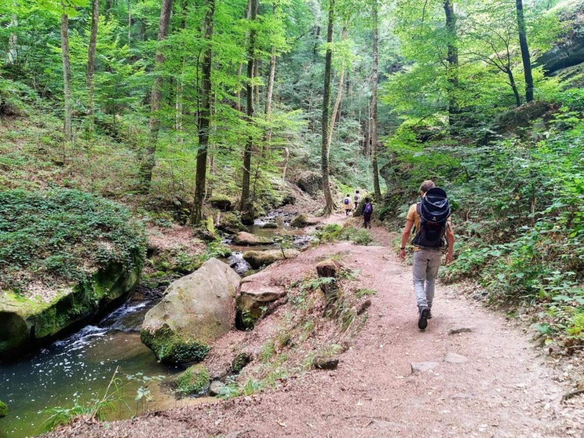 Nice Tent Lodge On A Campsite, Bordering The Forest, Luxembourg At 27 Km Medernach ภายนอก รูปภาพ